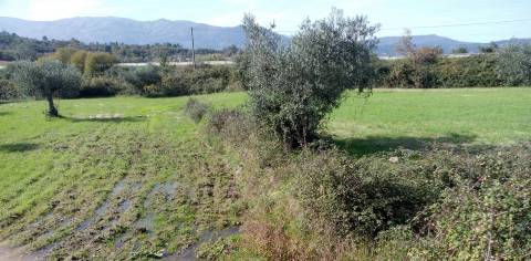 Herdade com 13ha em Peraboa, Covilhã