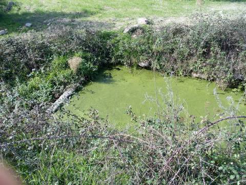 Herdade com 13ha em Peraboa, Covilhã
