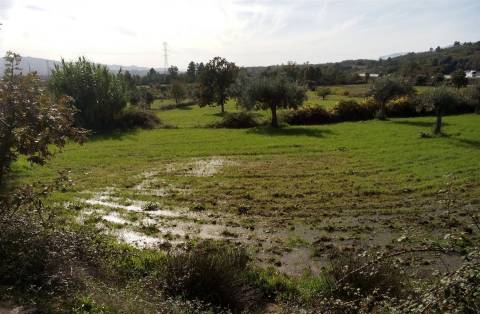 Herdade com 13ha em Peraboa, Covilhã