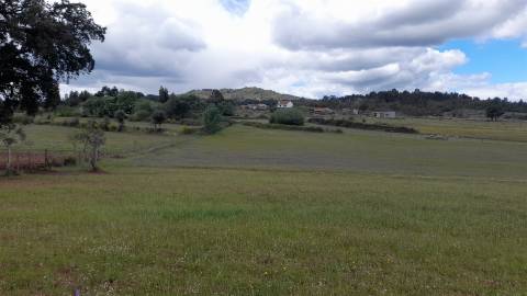 Quinta  com 2,14Ha em Quintas da Torre, Fundão - Portugal