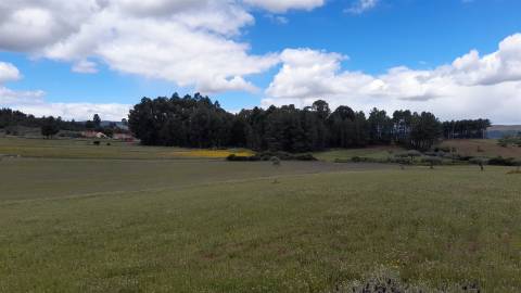 Quinta  com 2,14Ha em Quintas da Torre, Fundão - Portugal