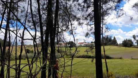 Quinta  com 2,14Ha em Quintas da Torre, Fundão - Portugal