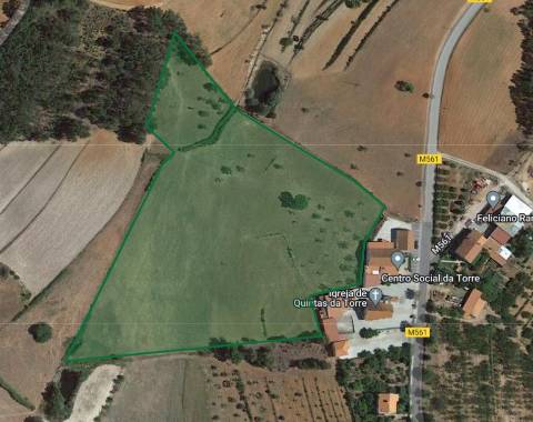 Quinta  com 2,14Ha em Quintas da Torre, Fundão - Portugal