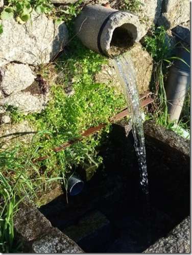 Quinta com cerca de 5ha para investimento com possibilidade de Construção, em São Vicente da Beira