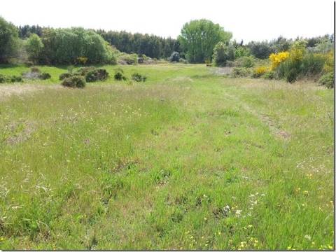 Quinta com cerca de 5ha para investimento com possibilidade de Construção, em São Vicente da Beira