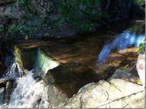 Quinta com cerca de 5ha para investimento com possibilidade de Construção, em São Vicente da Beira