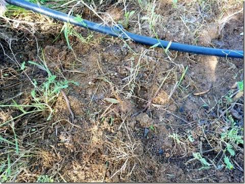 Quinta com cerca de 5ha para investimento com possibilidade de Construção, em São Vicente da Beira