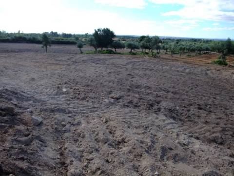 Quinta com cerca de 5ha para investimento com possibilidade de Construção, em São Vicente da Beira