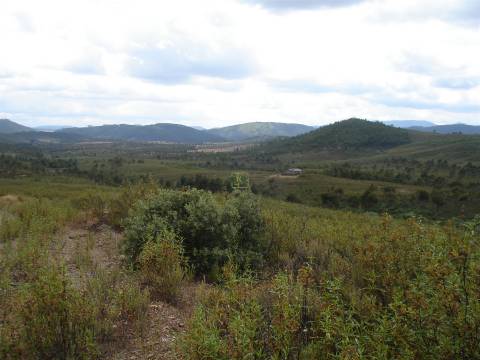 Herdade - Construção Rural 84m2 - Florestal - 93ha - Ninho do Açor