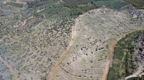 Herdade - Construção Rural 84m2 - Florestal - 93ha - Ninho do Açor