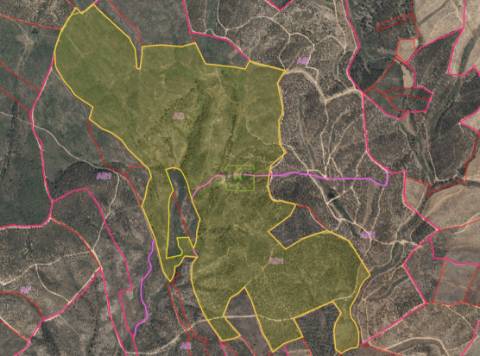 Herdade - Construção Rural 84m2 - Florestal - 93ha - Ninho do Açor
