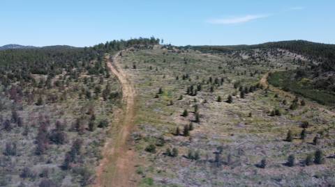 Herdade - Construção Rural 84m2 - Florestal - 93ha - Ninho do Açor