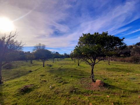 Quinta  Venda em Penha Garcia,Idanha-a-Nova