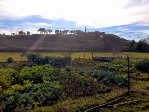 Quinta  Venda em Penha Garcia,Idanha-a-Nova