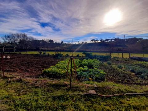 Quinta  Venda em Penha Garcia,Idanha-a-Nova