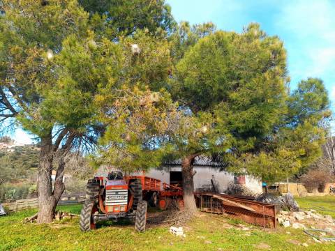 Quinta  Venda em Penha Garcia,Idanha-a-Nova