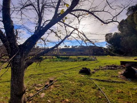 Quinta  Venda em Penha Garcia,Idanha-a-Nova