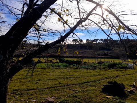 Quinta  Venda em Penha Garcia,Idanha-a-Nova