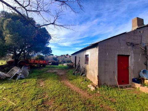Quinta  Venda em Penha Garcia,Idanha-a-Nova
