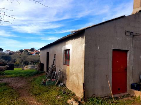 Quinta  Venda em Penha Garcia,Idanha-a-Nova