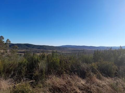Quinta com aptidão Florestal na Capinha - Fundão