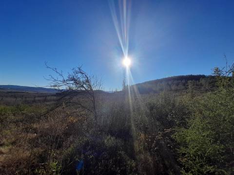 Quinta com aptidão Florestal na Capinha - Fundão