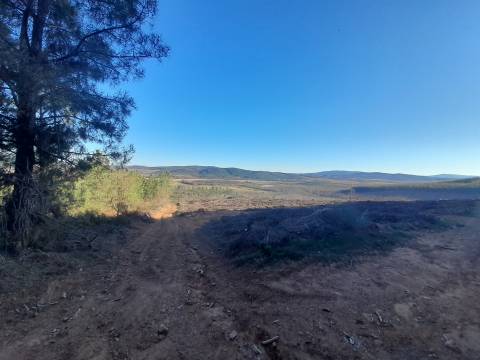 Quinta com aptidão Florestal na Capinha - Fundão