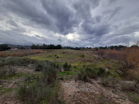 Quinta  Venda em Póvoa de Rio de Moinhos e Cafede,Castelo Branco