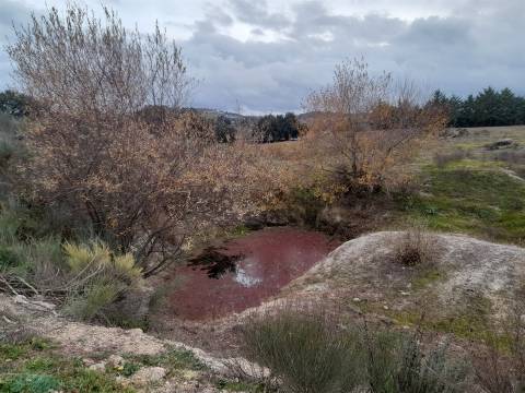 Quinta  Venda em Póvoa de Rio de Moinhos e Cafede,Castelo Branco