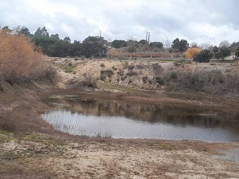 Quinta  Venda em Póvoa de Rio de Moinhos e Cafede,Castelo Branco