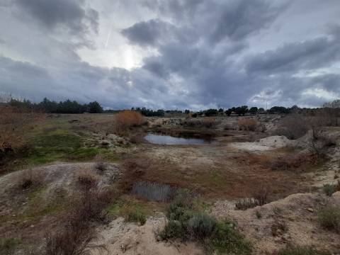 Quinta  Venda em Póvoa de Rio de Moinhos e Cafede,Castelo Branco