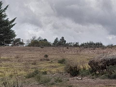Quinta  Venda em Póvoa de Rio de Moinhos e Cafede,Castelo Branco