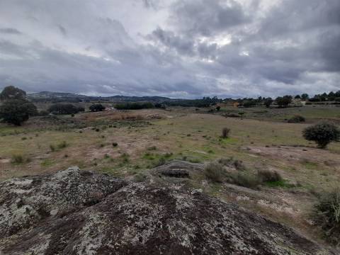 Quinta  Venda em Póvoa de Rio de Moinhos e Cafede,Castelo Branco