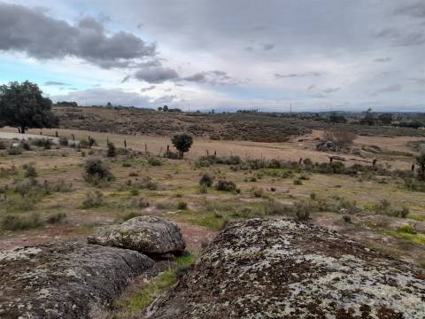 Quinta  Venda em Póvoa de Rio de Moinhos e Cafede,Castelo Branco