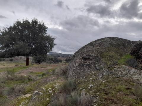 Quinta  Venda em Póvoa de Rio de Moinhos e Cafede,Castelo Branco