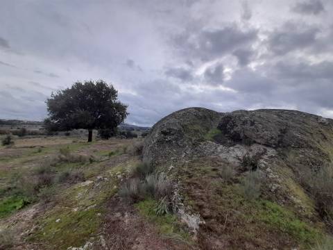 Quinta  Venda em Póvoa de Rio de Moinhos e Cafede,Castelo Branco