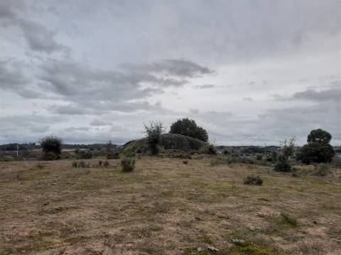 Quinta  Venda em Póvoa de Rio de Moinhos e Cafede,Castelo Branco