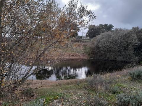 Quinta  Venda em Póvoa de Rio de Moinhos e Cafede,Castelo Branco