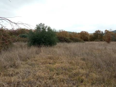 Quintinha em Penamacor