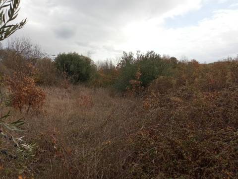 Quintinha em Penamacor