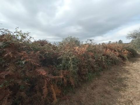 Quintinha em Penamacor