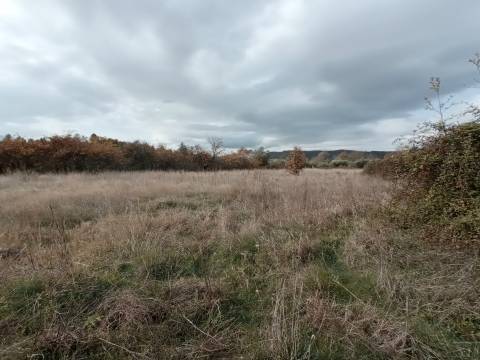 Quintinha em Penamacor