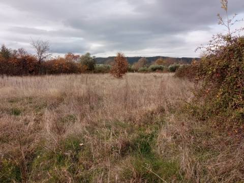 Quintinha em Penamacor