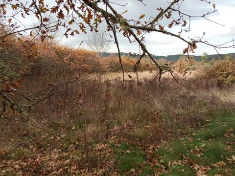 Quintinha em Penamacor