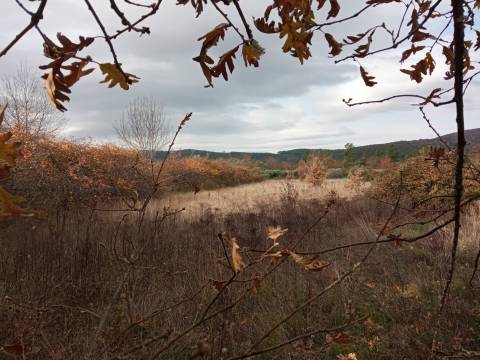 Quintinha em Penamacor