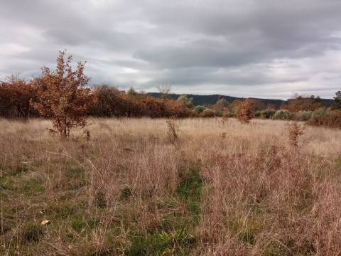 Quintinha em Penamacor