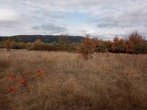 Quintinha em Penamacor