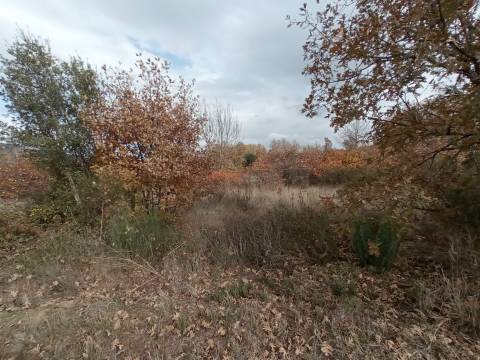 Quintinha em Penamacor