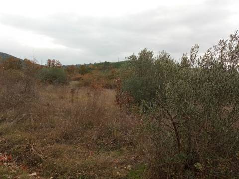 Quintinha em Penamacor