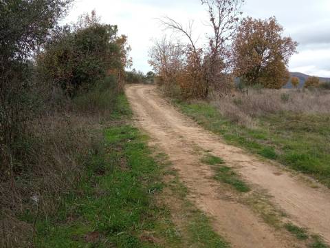 Quintinha em Penamacor